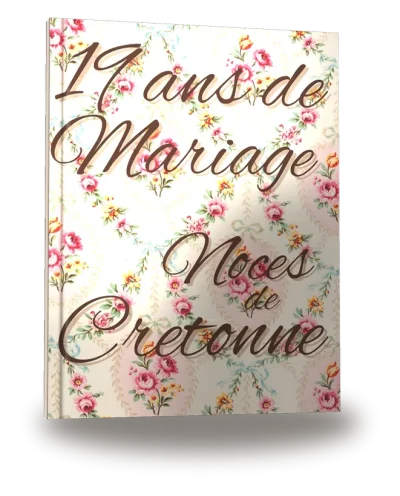 Couverture du livre « 19 ans de Mariage — Noces de Cretonne »