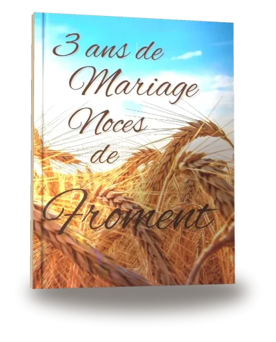 Portada del libro «3 ans de Mariage — Noces de Froment»