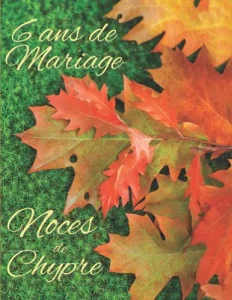 Vista previa del libro «6 ans de Mariage — Noces de Chypre»