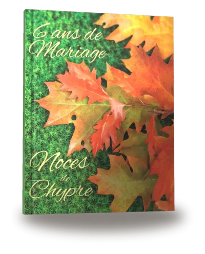 Portada del libro «6 ans de Mariage — Noces de Chypre»