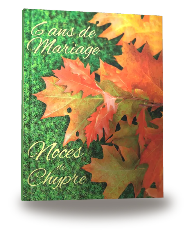 6 ans de Mariage — Noces de Chypre