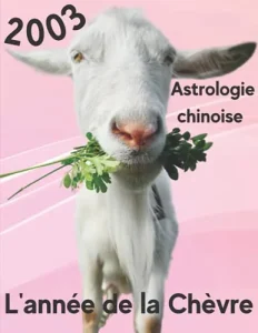 Vista previa del libro «Carnet de notes — Astrologie chinoise 2003, année de la Chèvre»