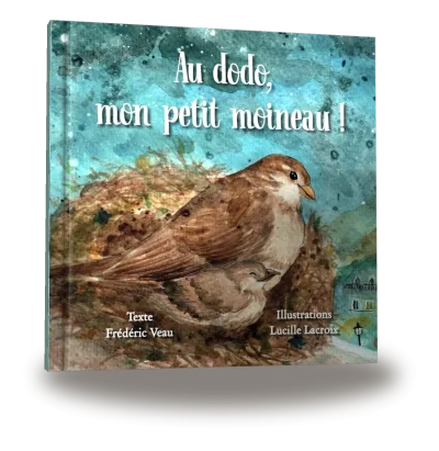 Portada del libro «Au dodo, mon petit moineau !»