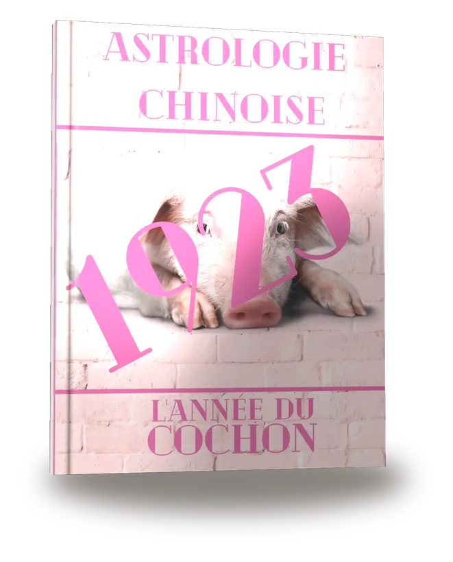Carnet de notes — Astrologie chinoise 1923, année du Cochon