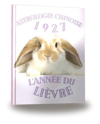 Couverture du livre « Carnet de notes — Astrologie chinoise 1927, année du Lièvre »