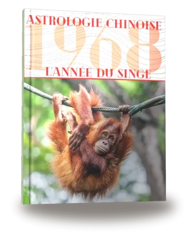 Portada del libro «Carnet de notes — Astrologie chinoise 1968, année du Singe»