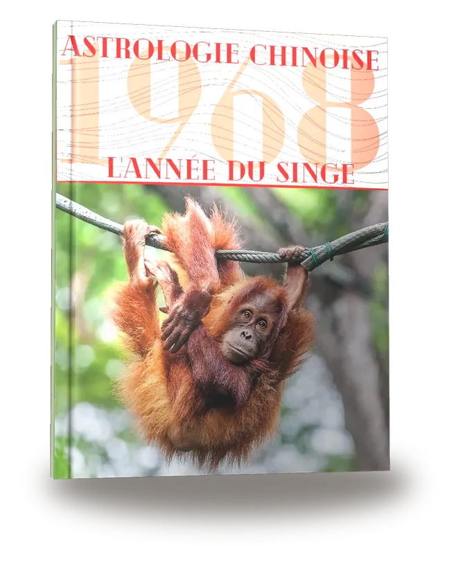 Carnet de notes — Astrologie chinoise 1968, année du Singe