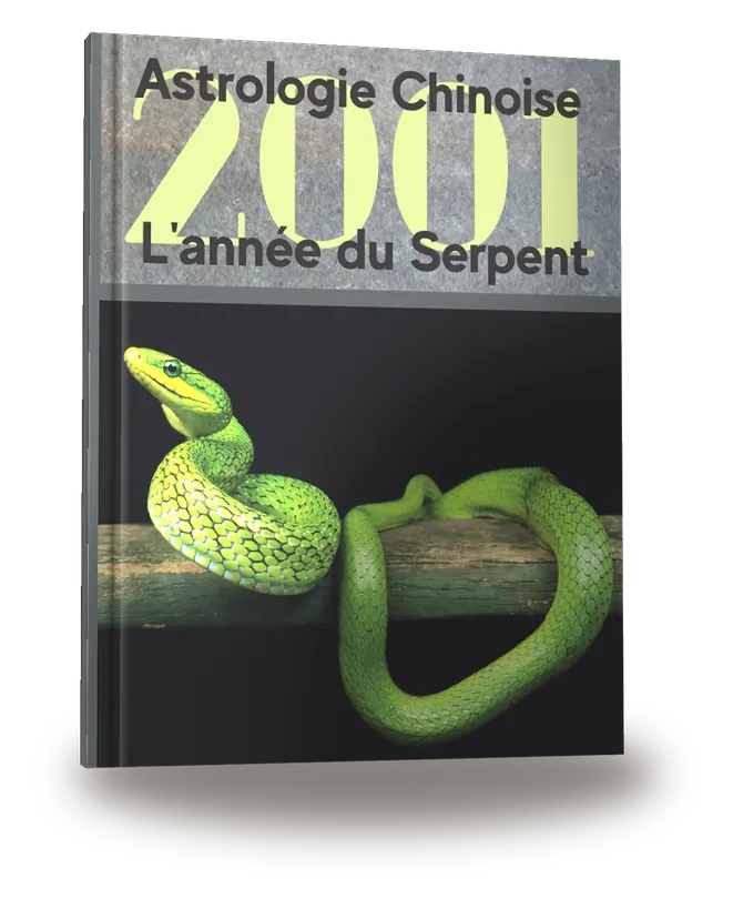 Carnet de notes — Astrologie chinoise 2001, année du Serpent