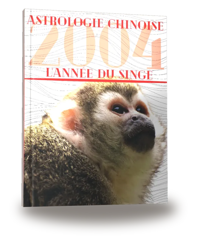 Portada del libro «Carnet de notes — Astrologie chinoise 2004, année du Singe»