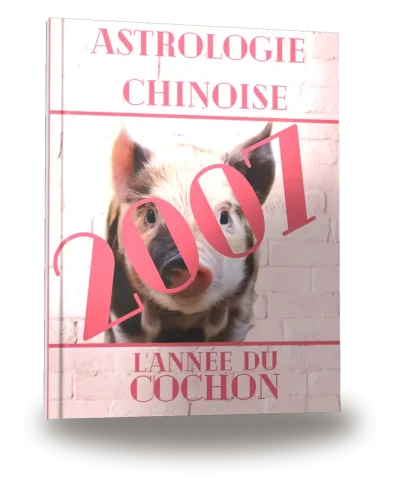 Portada del libro «Carnet de notes — Astrologie chinoise 2007, année du Cochon»