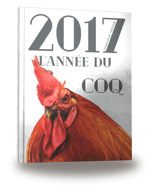 Carnet de notes — Astrologie chinoise 2017, année du Coq