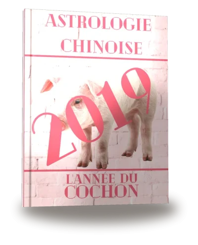 Couverture du livre « Carnet de notes — Astrologie chinoise 2019, année du Cochon »