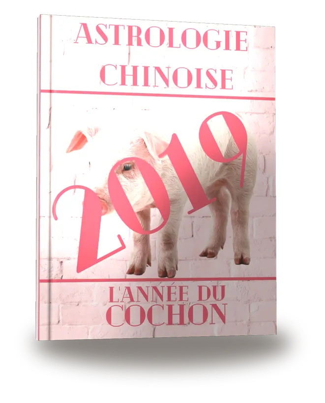 Carnet de notes — Astrologie chinoise 2019, année du Cochon
