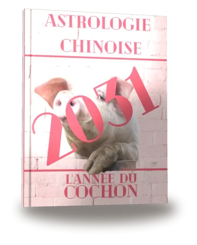 Portada del libro «Carnet de notes — Astrologie chinoise 2031, année du Cochon»