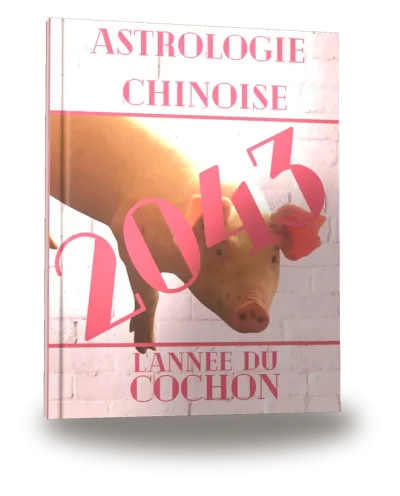 Couverture du livre « Carnet de notes — Astrologie chinoise 2043, année du Cochon »