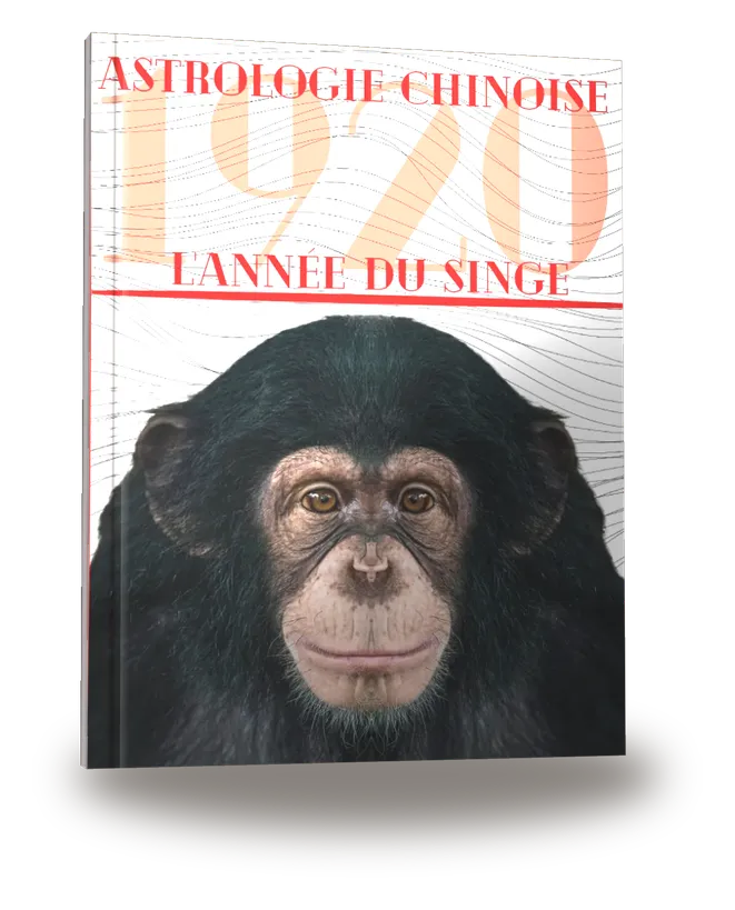 Portada del libro «Carnet de notes — Astrologie chinoise 1920, année du Singe»