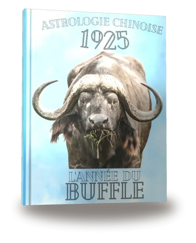 Portada del libro «Carnet de notes — Astrologie chinoise 1925, année du Buffle»