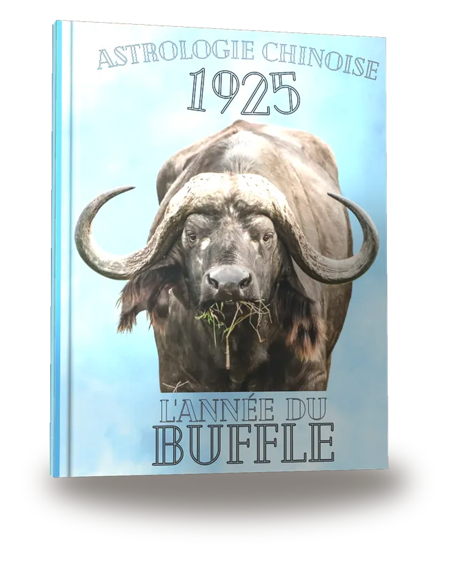 Carnet de notes — Astrologie chinoise 1925, année du Buffle