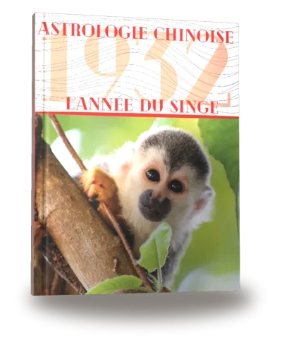 Couverture du livre « Carnet de notes — Astrologie chinoise 1932, année du Singe »