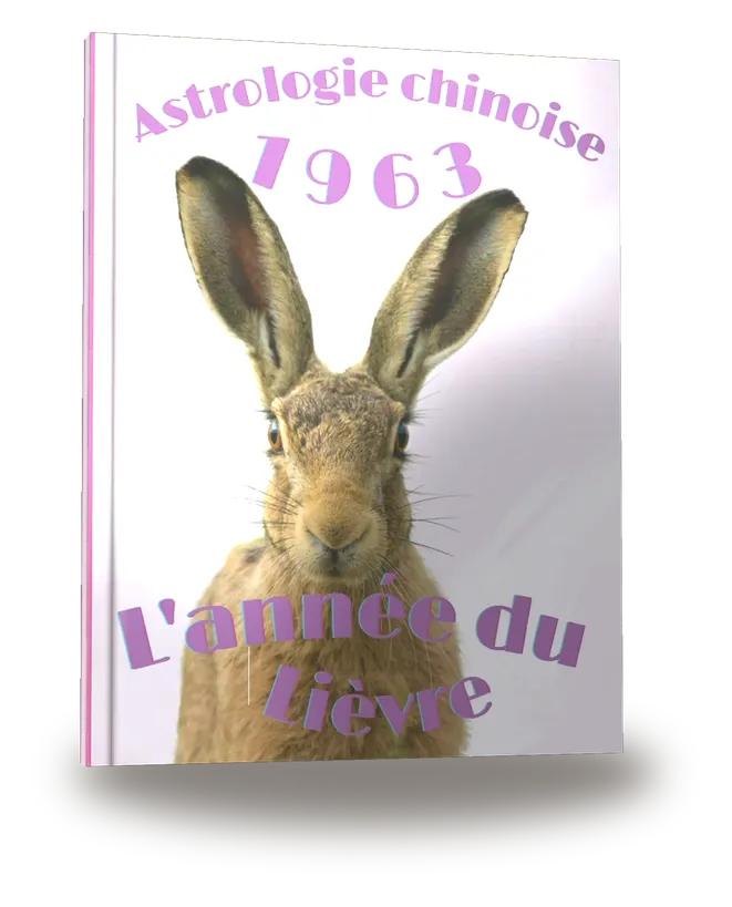 Couverture du livre « Carnet de notes — Astrologie chinoise 1963, année du Lièvre »
