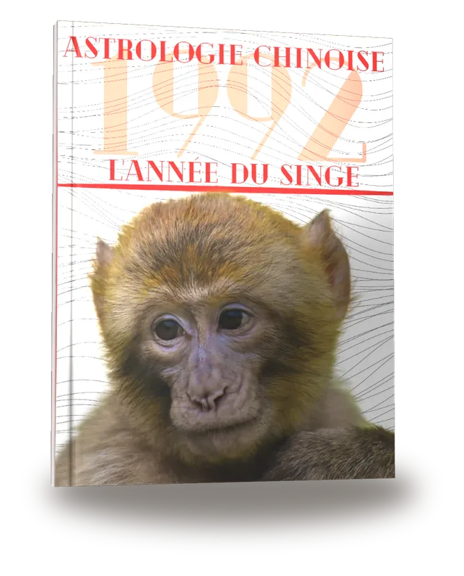 Portada del libro «Carnet de notes — Astrologie chinoise 1992, année du Singe»