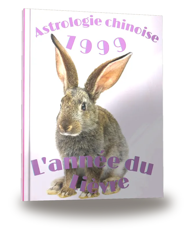 Carnet de notes — Astrologie chinoise 1999, année du Lièvre