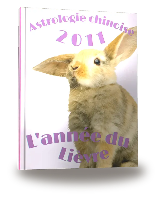 Carnet de notes — Astrologie chinoise 2011, année du Lièvre