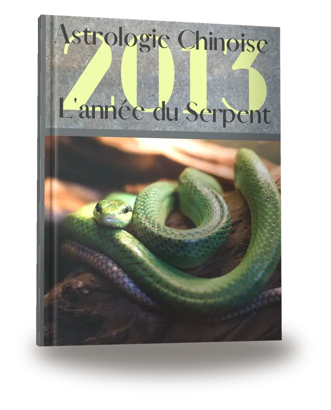 Carnet de notes — Astrologie chinoise 2013, année du Serpent
