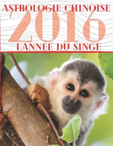Aperçu du livre « Carnet de notes — Astrologie chinoise 2016, année du Singe »