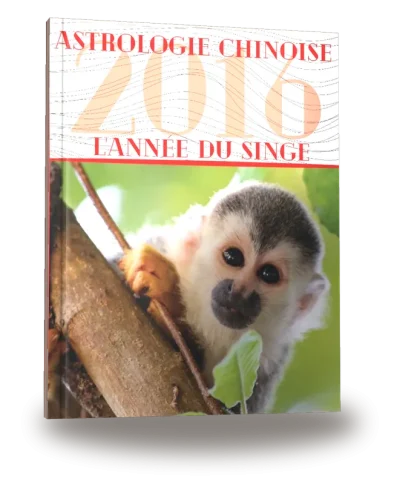 Couverture du livre « Carnet de notes — Astrologie chinoise 2016, année du Singe »