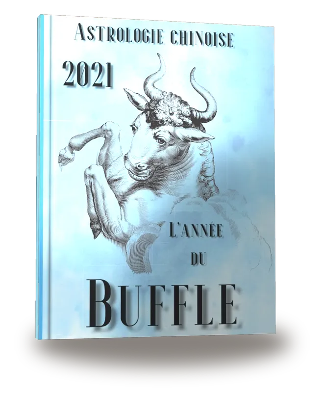 Carnet de notes — Astrologie chinoise 2021, année du Buffle