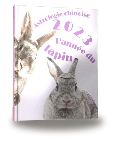 Portada del libro «Carnet de notes — Astrologie chinoise 2023, année du Lièvre»