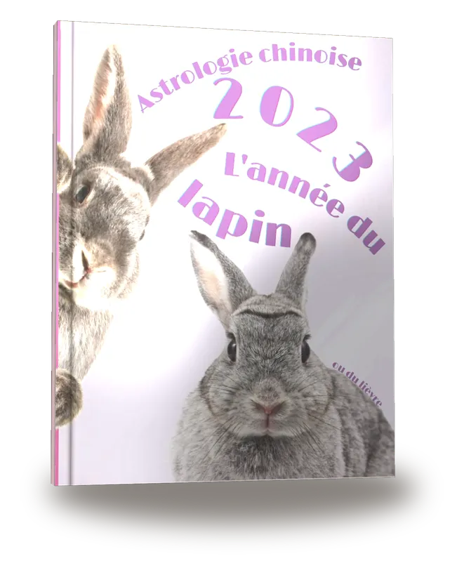 Carnet de notes — Astrologie chinoise 2023, année du Lièvre