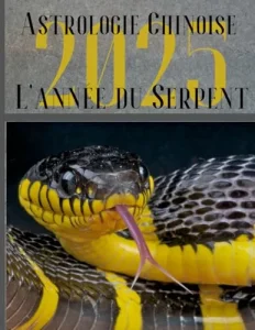 Vista previa del libro «Carnet de notes — Astrologie chinoise 2025, année du Serpent»