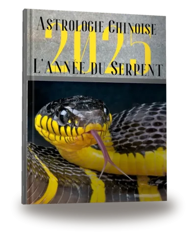 Portada del libro «Carnet de notes — Astrologie chinoise 2025, année du Serpent»
