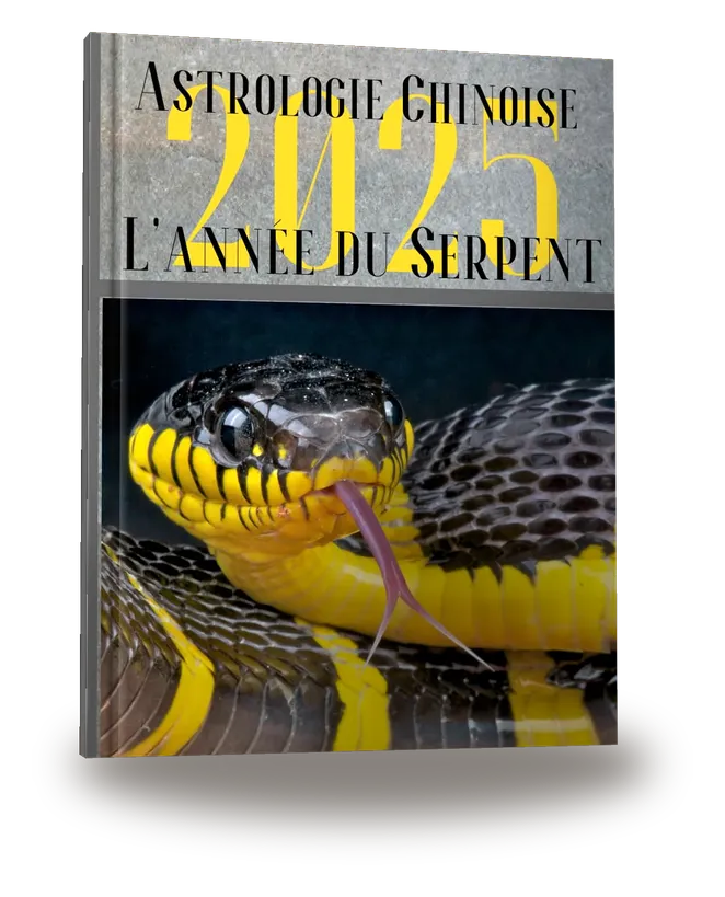 Portada del libro «Carnet de notes — Astrologie chinoise 2025, année du Serpent»
