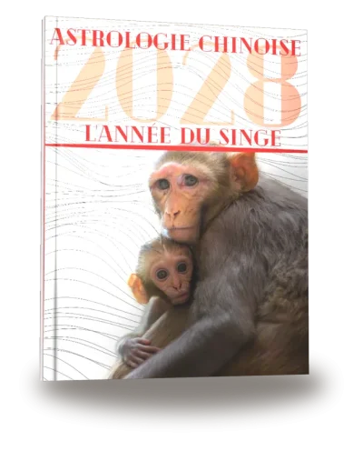 Portada del libro «Carnet de notes — Astrologie chinoise 2028, année du Singe»
