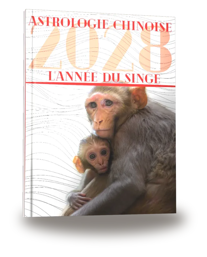 Carnet de notes — Astrologie chinoise 2028, année du Singe