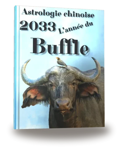 Portada del libro «Carnet de notes — Astrologie chinoise 2033, année du Buffle»