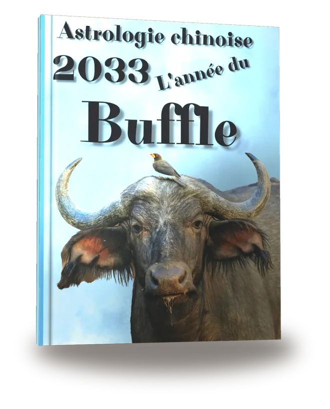 Portada del libro «Carnet de notes — Astrologie chinoise 2033, année du Buffle»