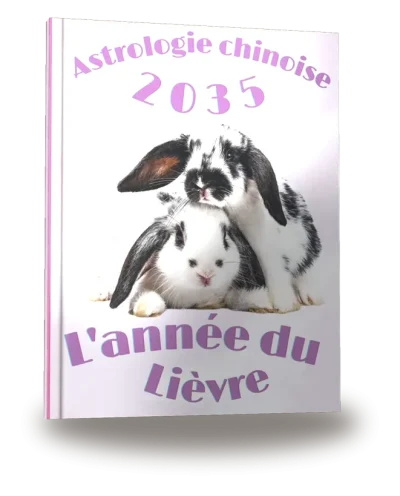 Couverture du livre « Carnet de notes — Astrologie chinoise 2035, année du Lièvre »