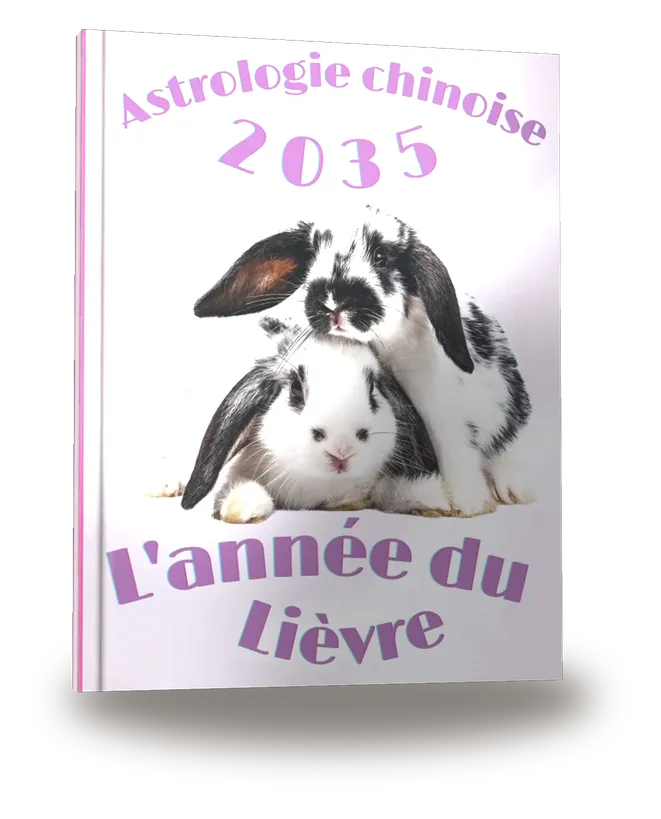 Couverture du livre « Carnet de notes — Astrologie chinoise 2035, année du Lièvre »