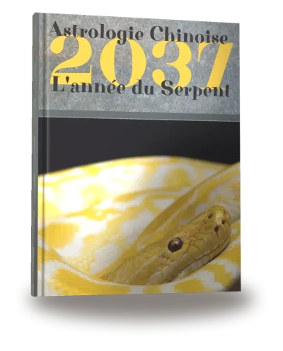 Couverture du livre « Carnet de notes — Astrologie chinoise 2037, année du Serpent »