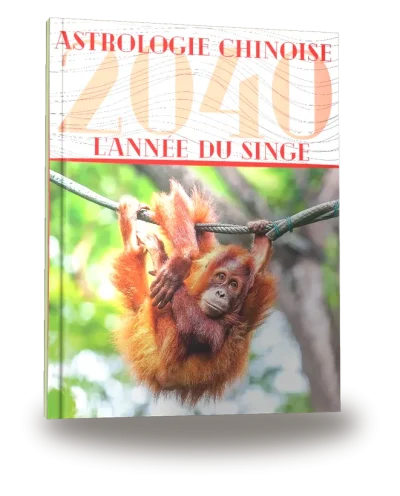 Portada del libro «Carnet de notes — Astrologie chinoise 2040, année du Singe»