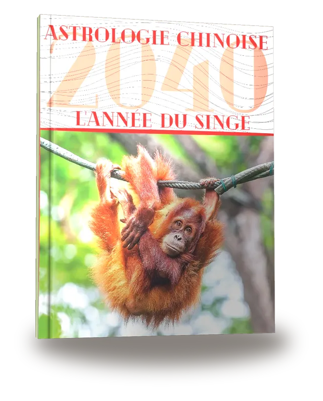 Portada del libro «Carnet de notes — Astrologie chinoise 2040, année du Singe»
