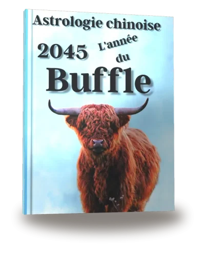 Portada del libro «Carnet de notes — Astrologie chinoise 2045, année du Buffle»