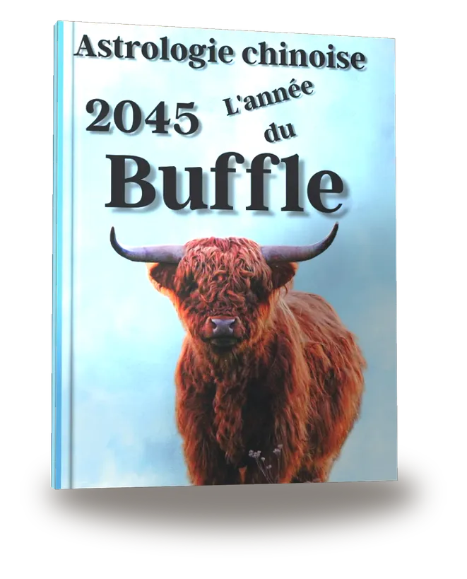 Carnet de notes — Astrologie chinoise 2045, année du Buffle