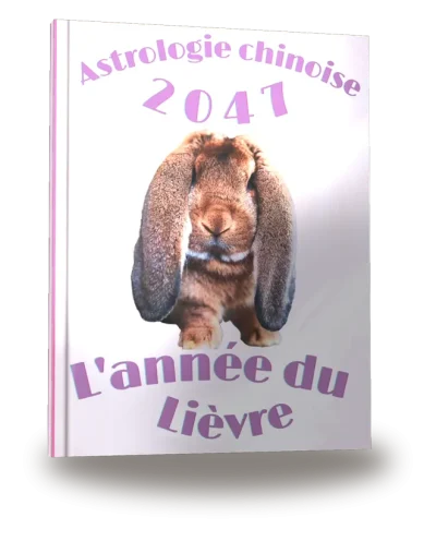 Portada del libro «Carnet de notes — Astrologie chinoise 2047, année du Lièvre»