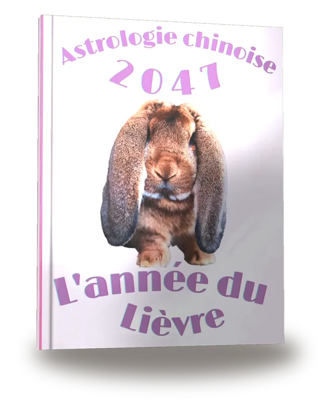 Portada del libro «Carnet de notes — Astrologie chinoise 2047, année du Lièvre»