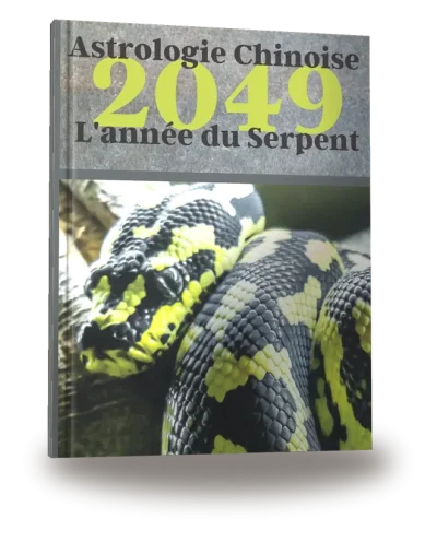 Portada del libro «Carnet de notes — Astrologie chinoise 2049, année du Serpent»